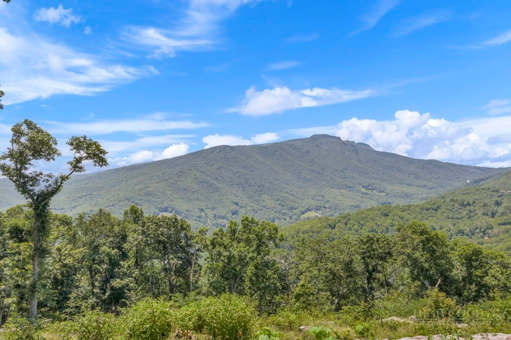 Image number 1 for the current listing