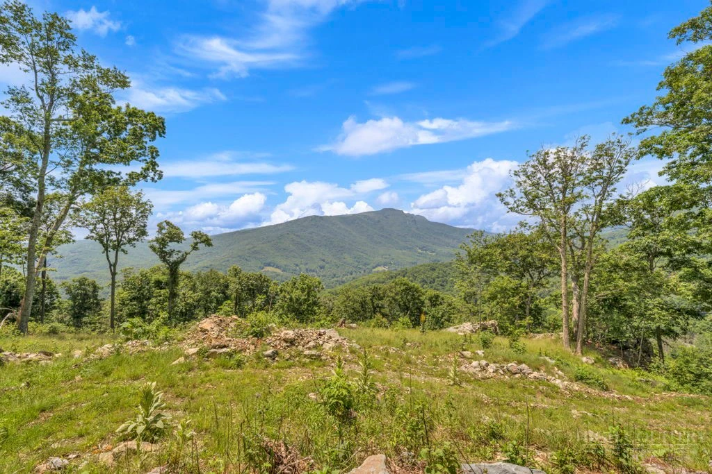 Image number 2 for the current listing