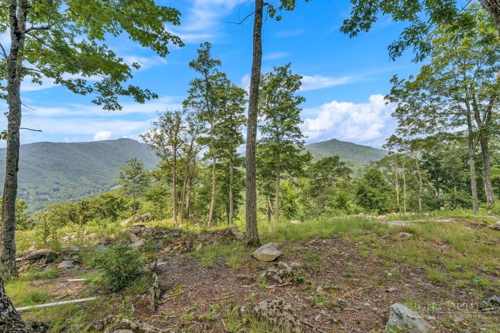 Image number 5 for the current listing