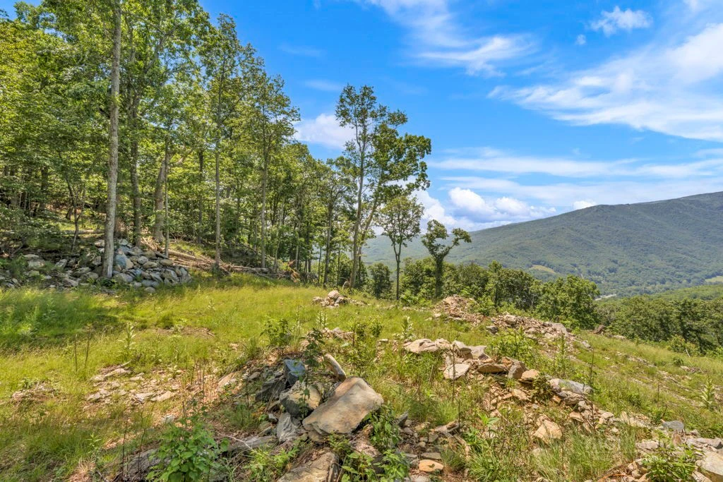 Image number 6 for the current listing