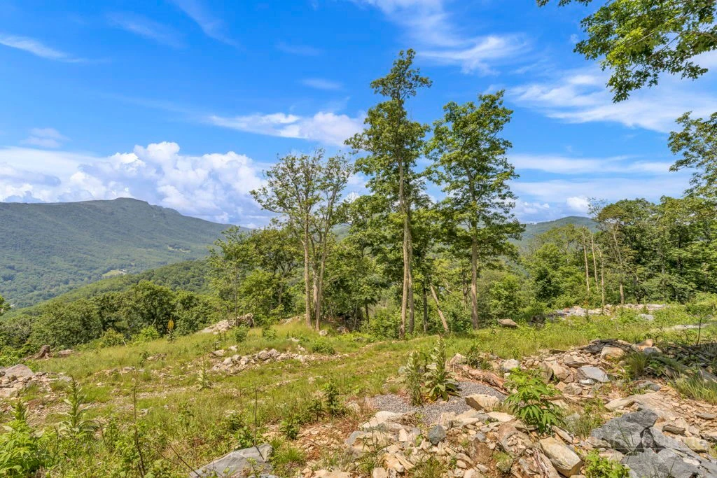 Image number 7 for the current listing