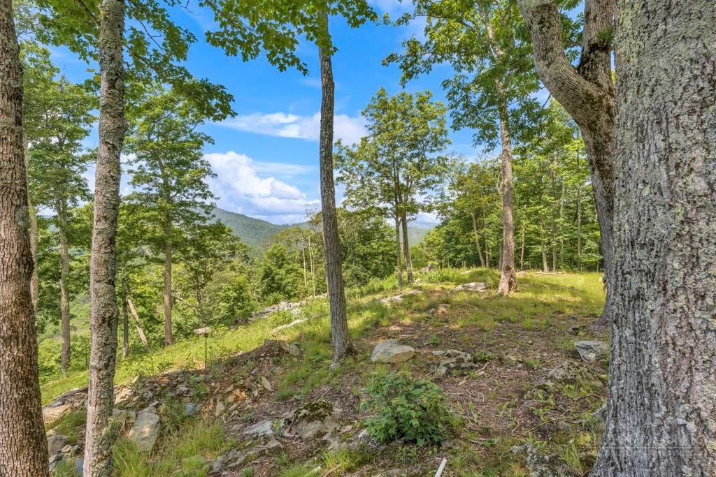Image number 8 for the current listing