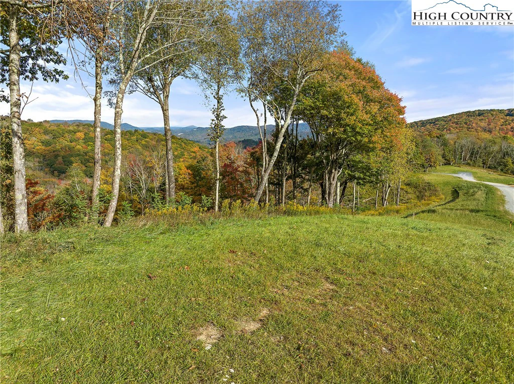 Image number 1 for the current listing