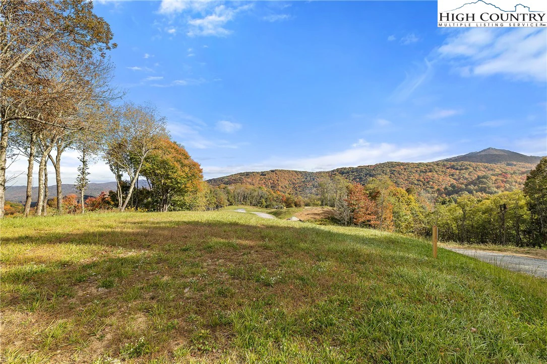 Image number 17 for the current listing