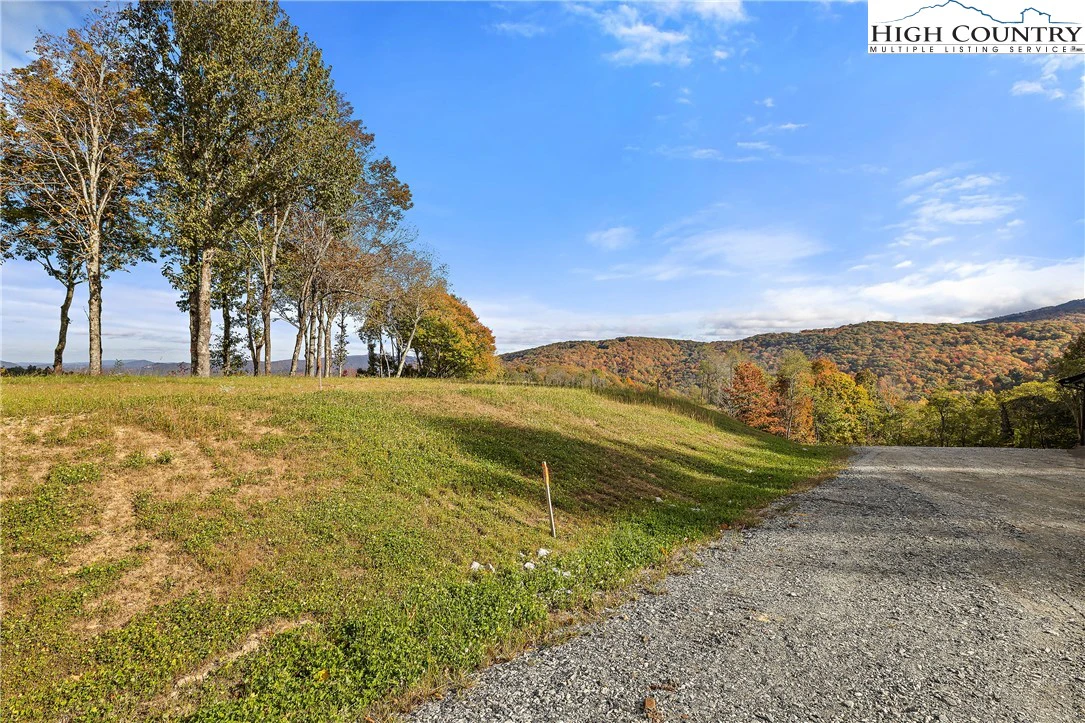 Image number 16 for the current listing
