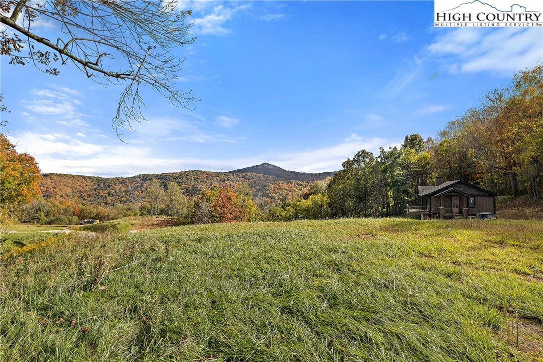 Image number 14 for the current listing