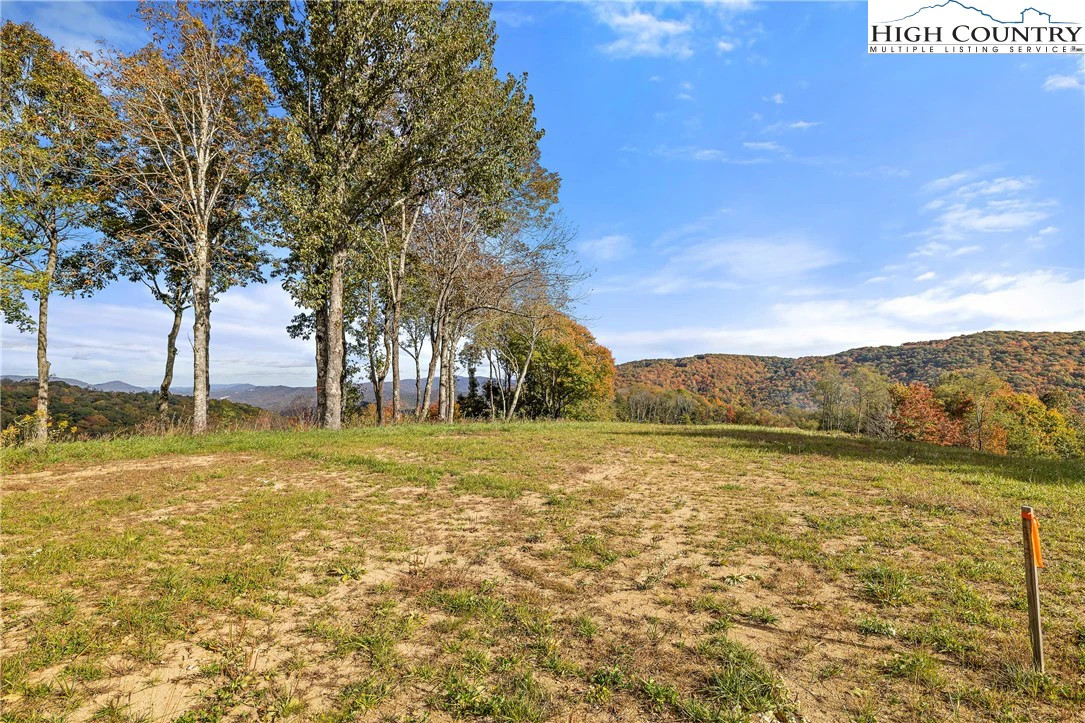 Image number 12 for the current listing