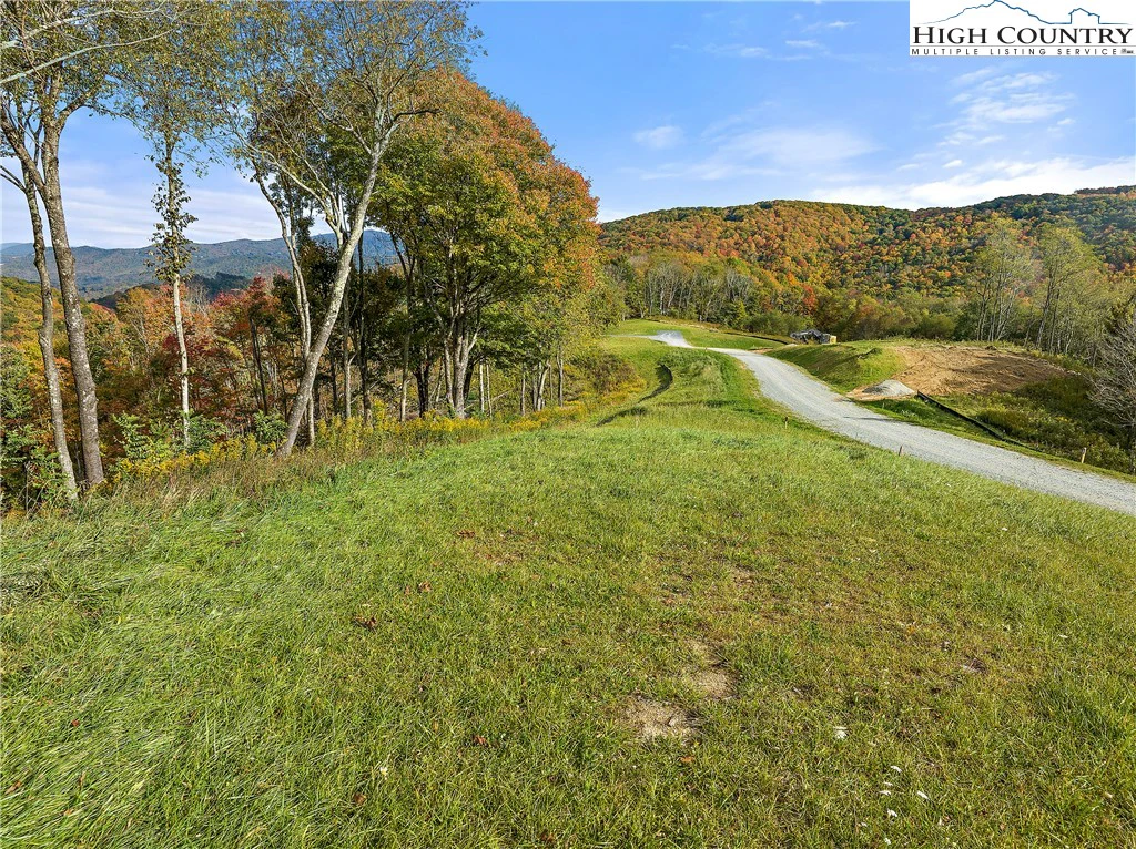 Image number 2 for the current listing