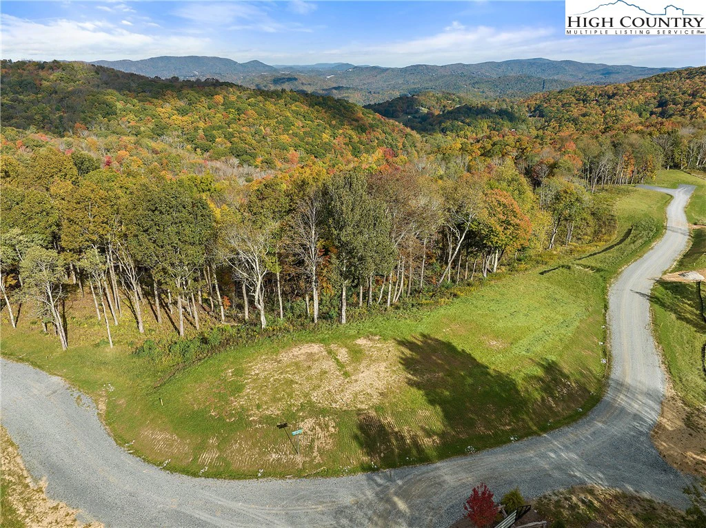 Image number 11 for the current listing