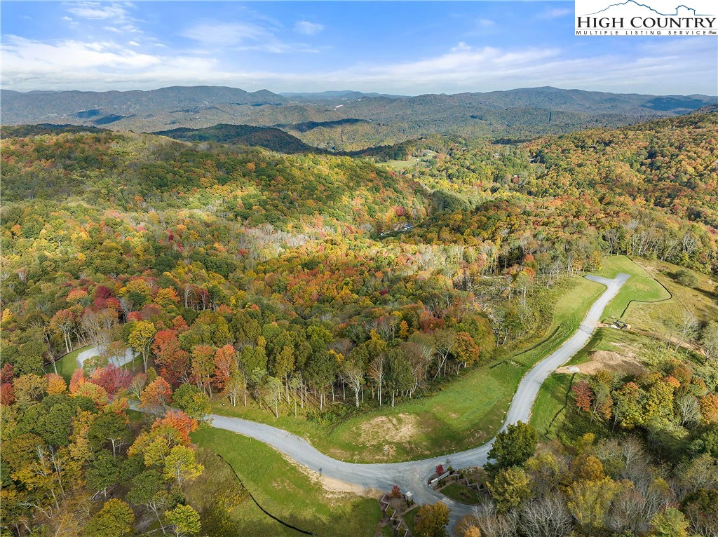 Image number 7 for the current listing