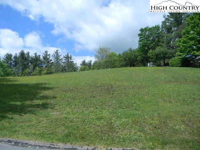 Image number 1 for the current listing