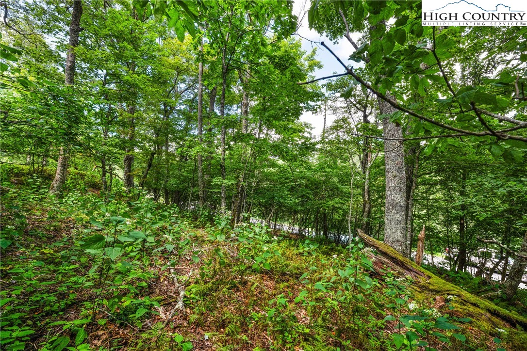 Image number 11 for the current listing