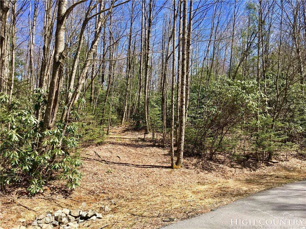 Image number 1 for the current listing
