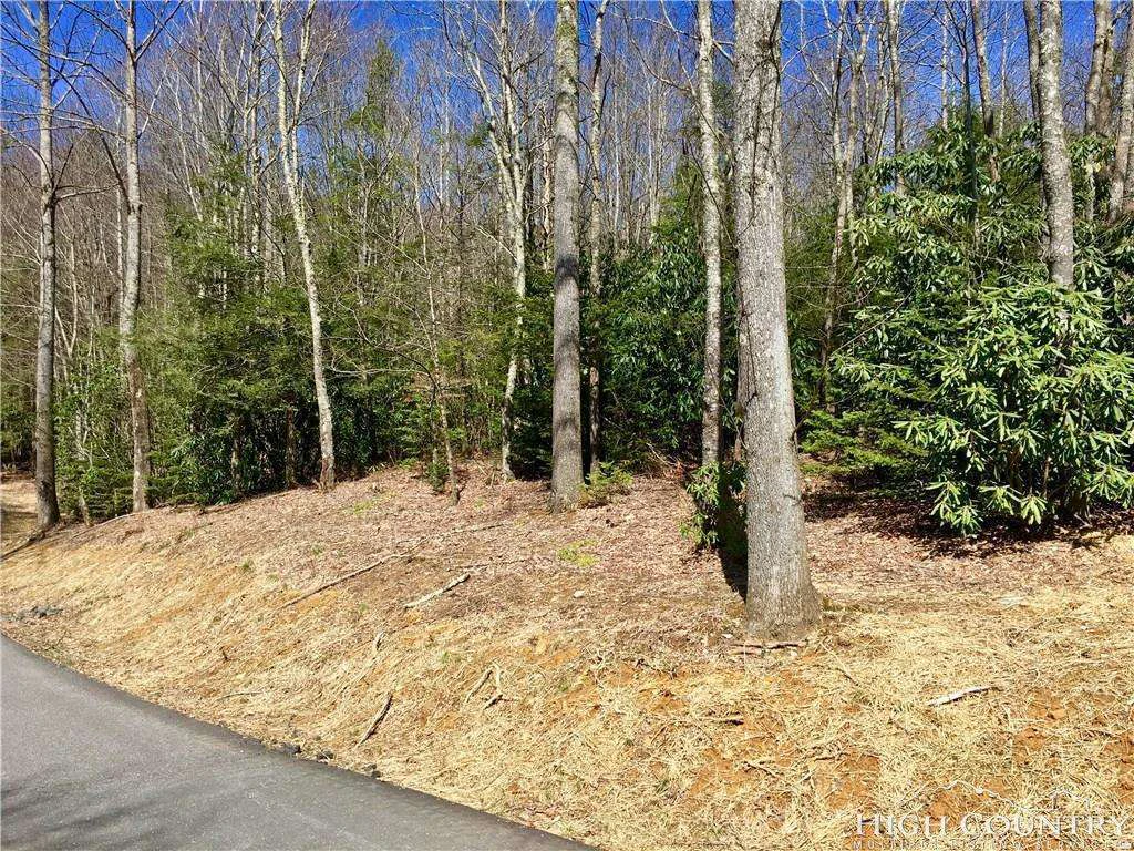Image number 12 for the current listing