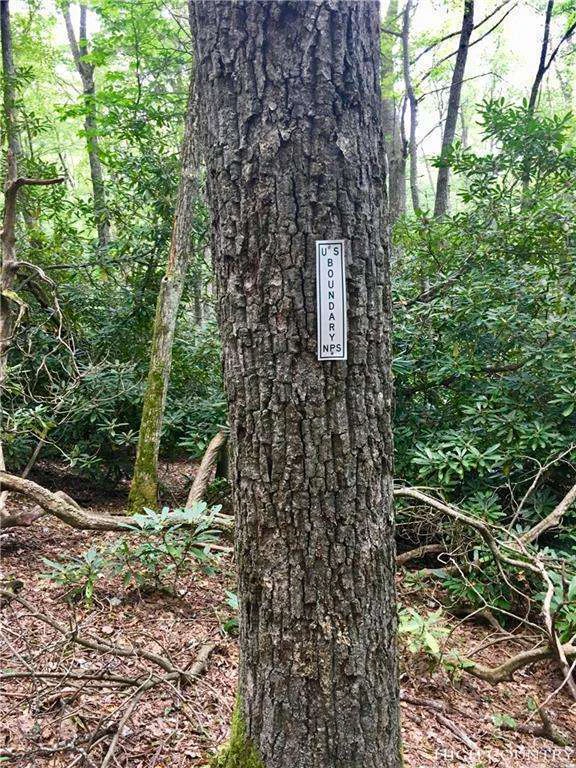 Image number 6 for the current listing