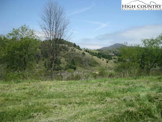 Image number 1 for the current listing