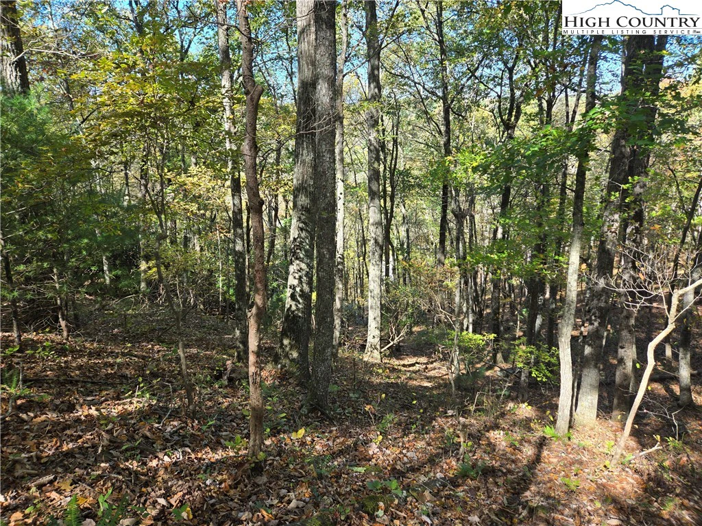 Image number 7 for the current listing