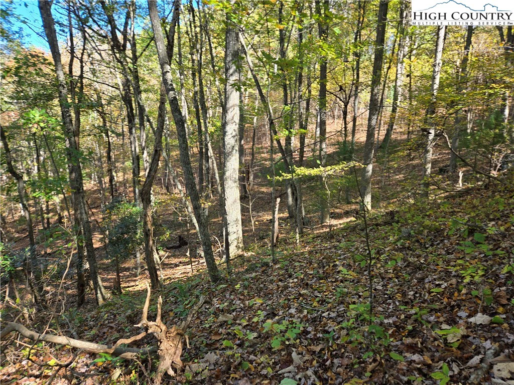 Image number 6 for the current listing