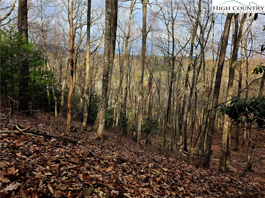 Image number 1 for the current listing