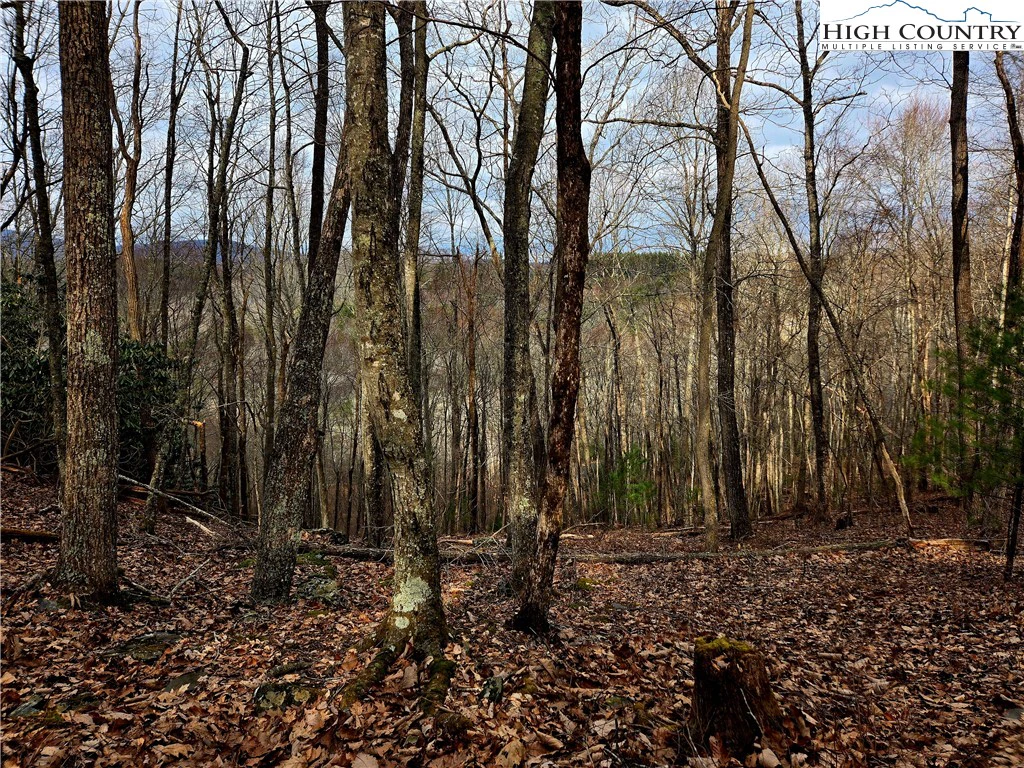 Image number 9 for the current listing
