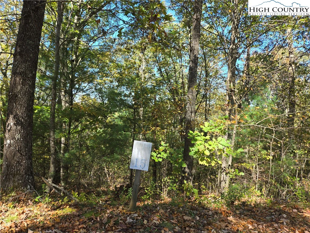 Image number 5 for the current listing