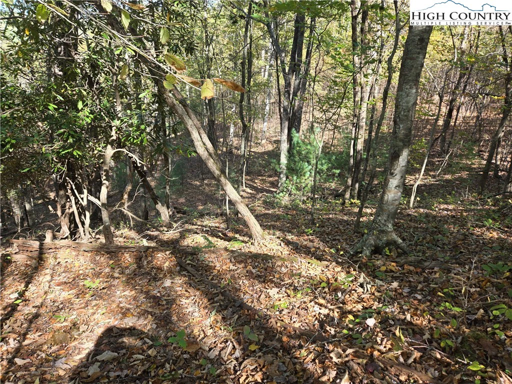 Image number 8 for the current listing