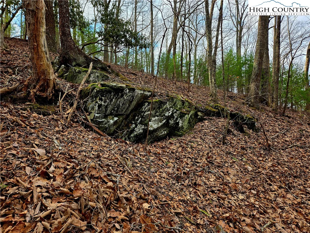 Image number 2 for the current listing