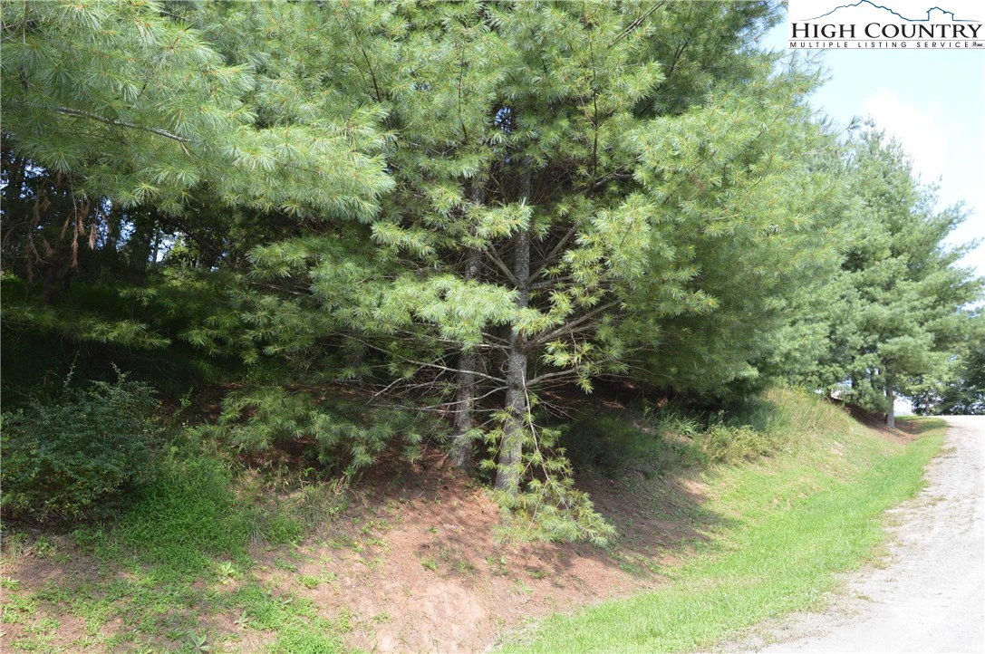 Image number 15 for the current listing
