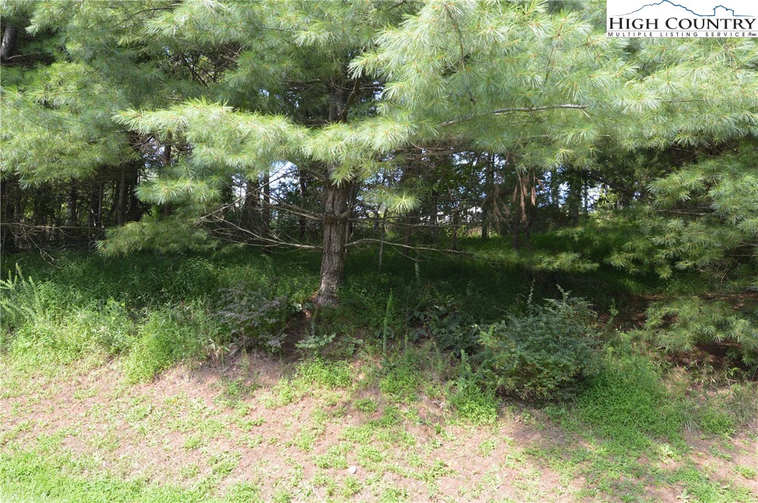 Image number 14 for the current listing