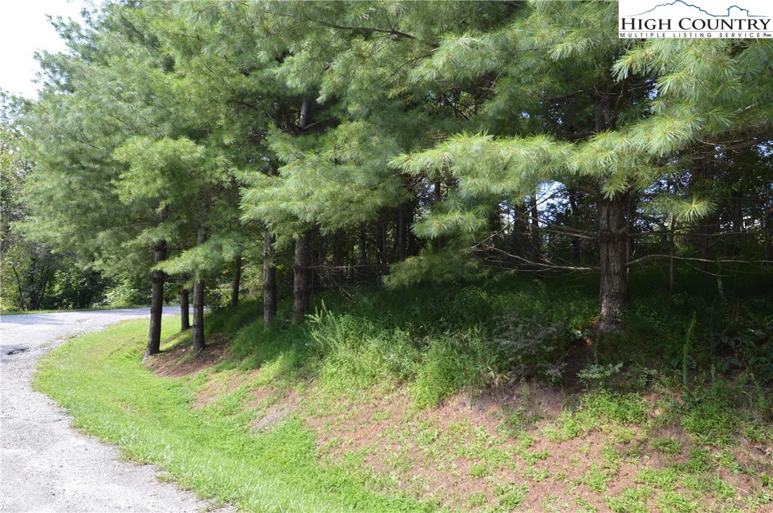 Image number 13 for the current listing