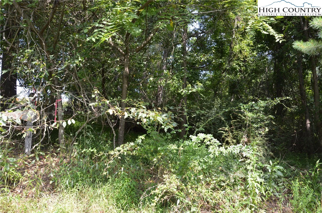 Image number 12 for the current listing
