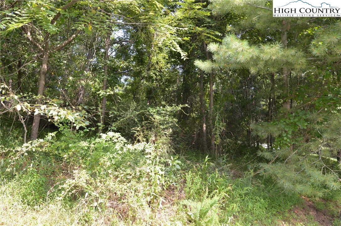 Image number 11 for the current listing