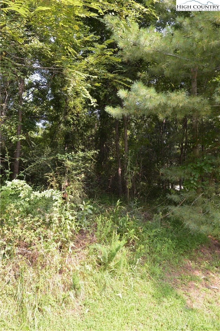 Image number 2 for the current listing