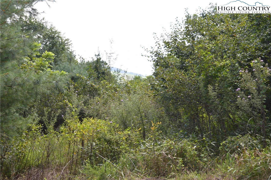 Image number 9 for the current listing