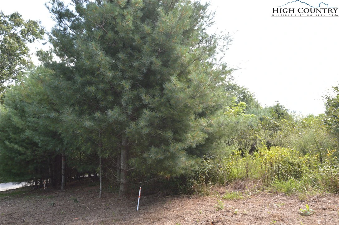 Image number 7 for the current listing