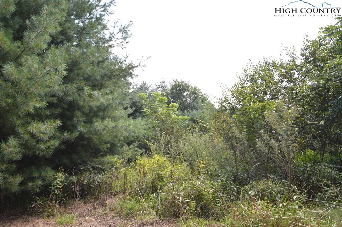 Image number 6 for the current listing