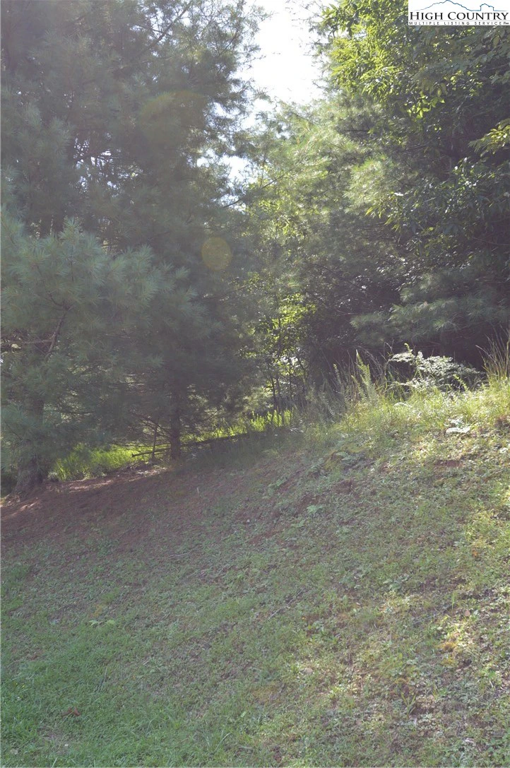 Image number 5 for the current listing