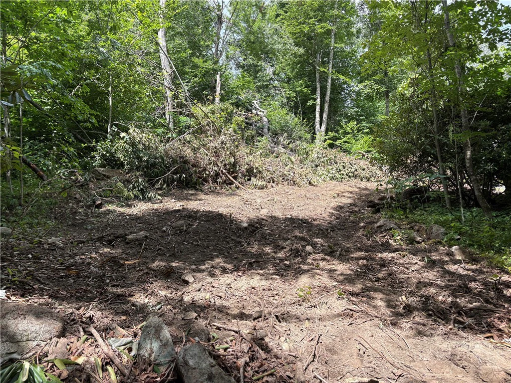 Image number 3 for the current listing