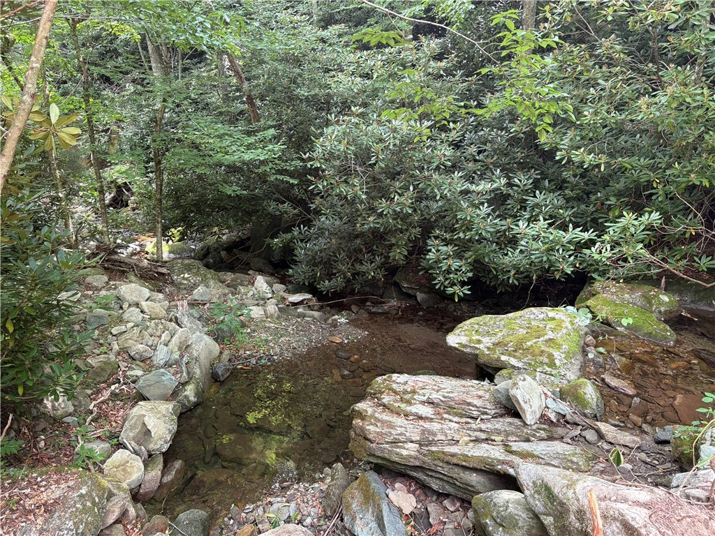 Image number 4 for the current listing