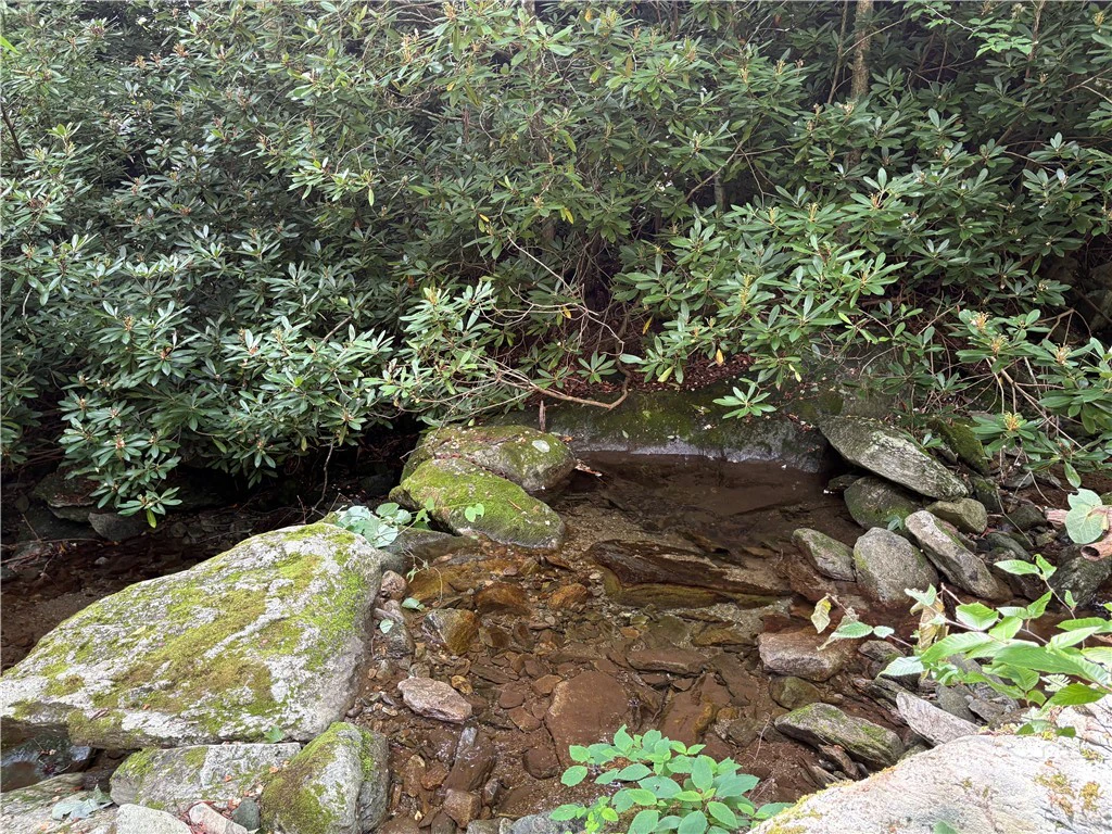 Image number 5 for the current listing