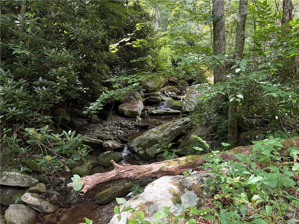 Image number 6 for the current listing