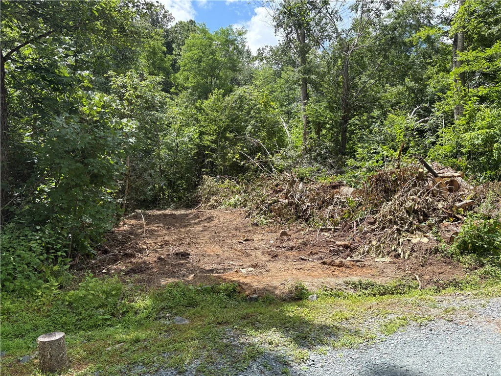 Image number 2 for the current listing