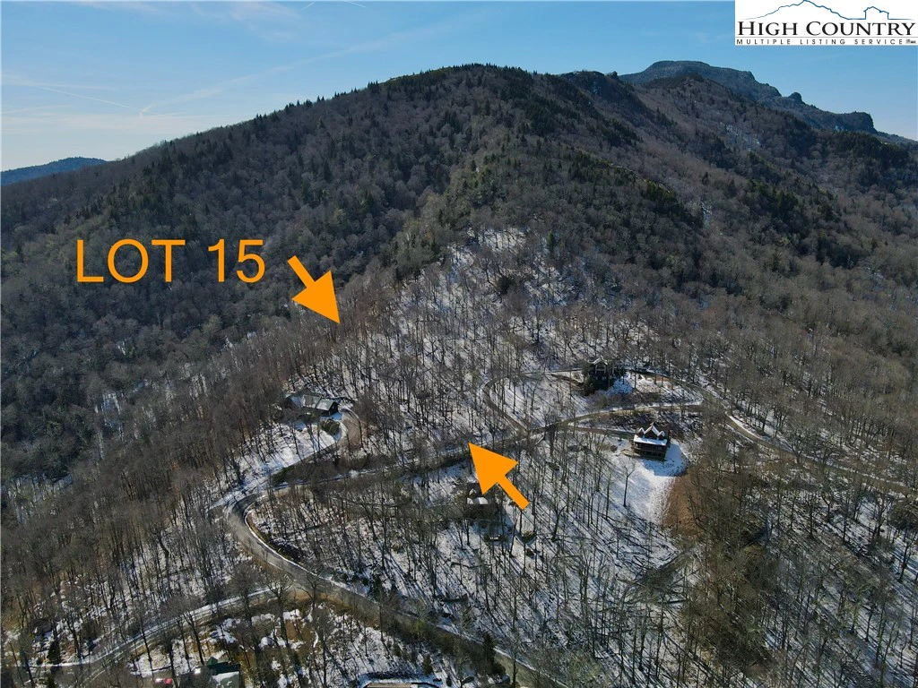 Image number 1 for the current listing