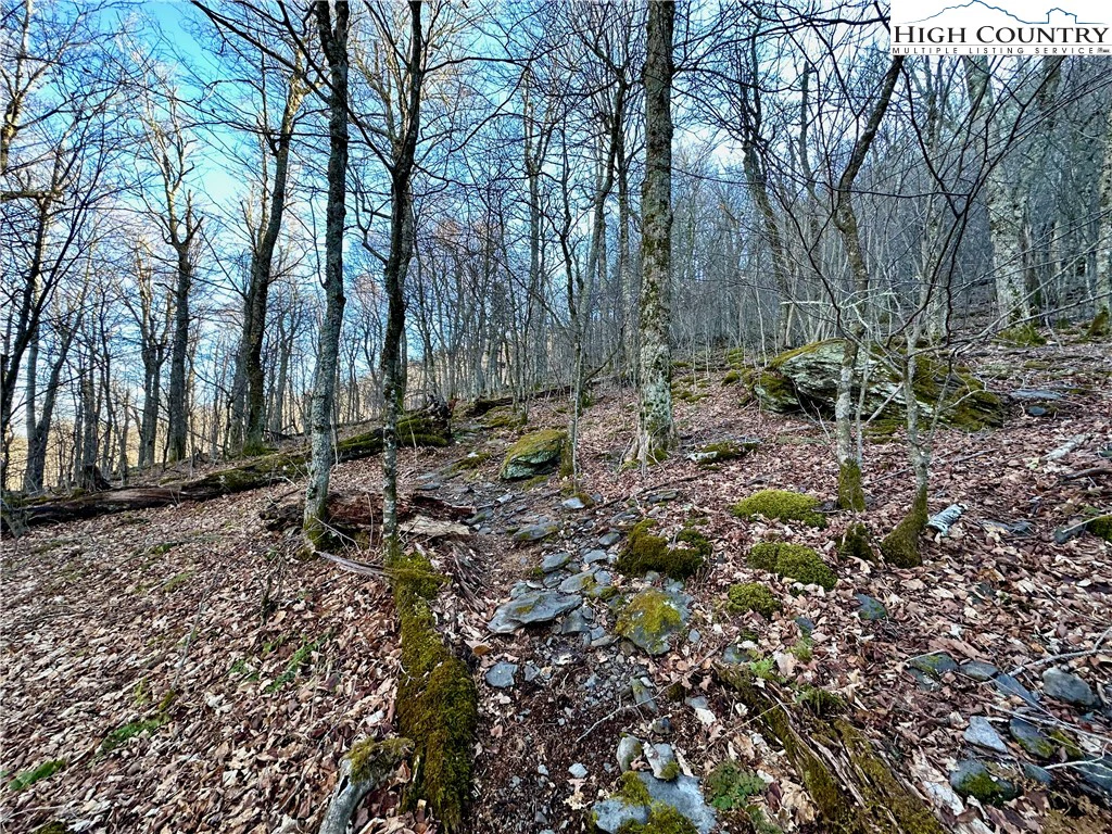 Image number 19 for the current listing