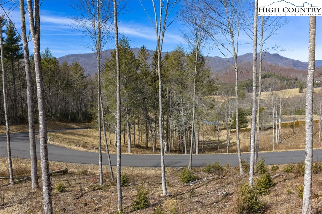 Image number 5 for the current listing