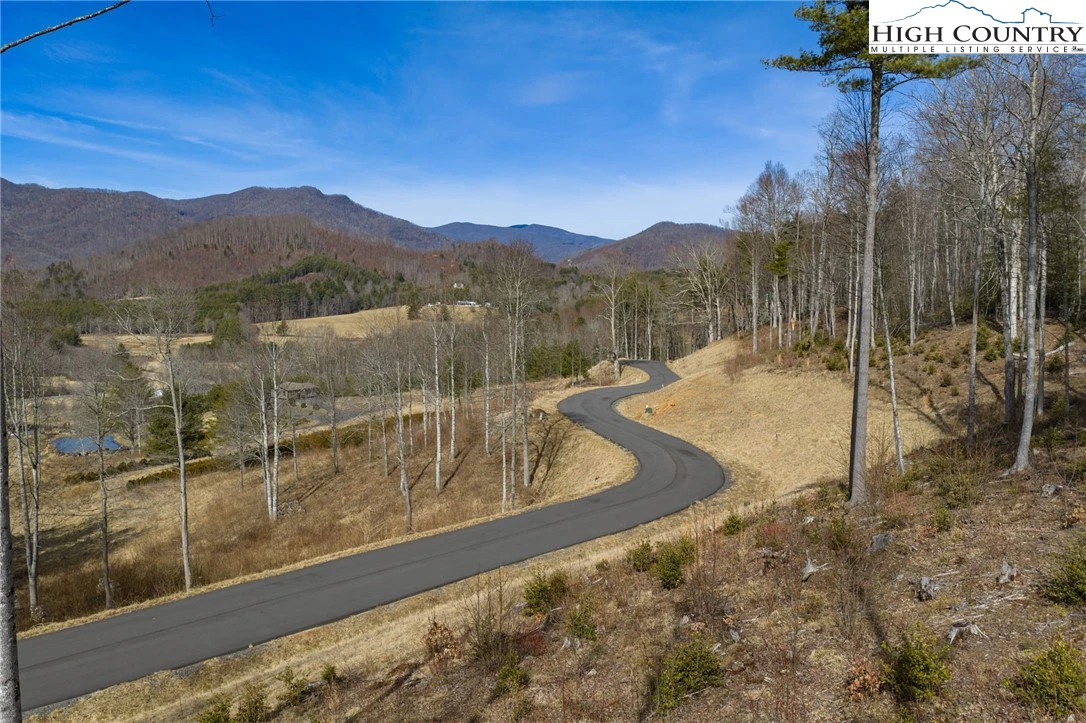 Image number 1 for the current listing