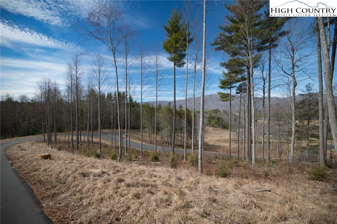 Image number 16 for the current listing