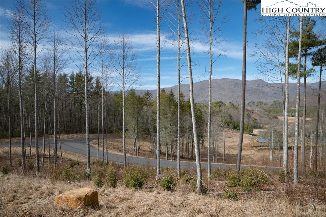 Image number 2 for the current listing