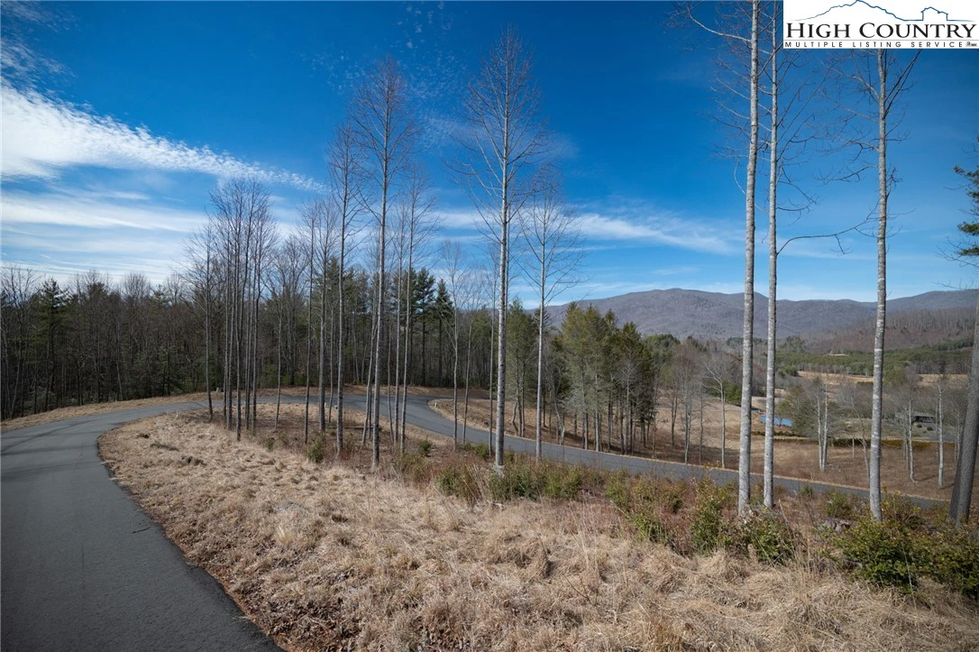Image number 13 for the current listing