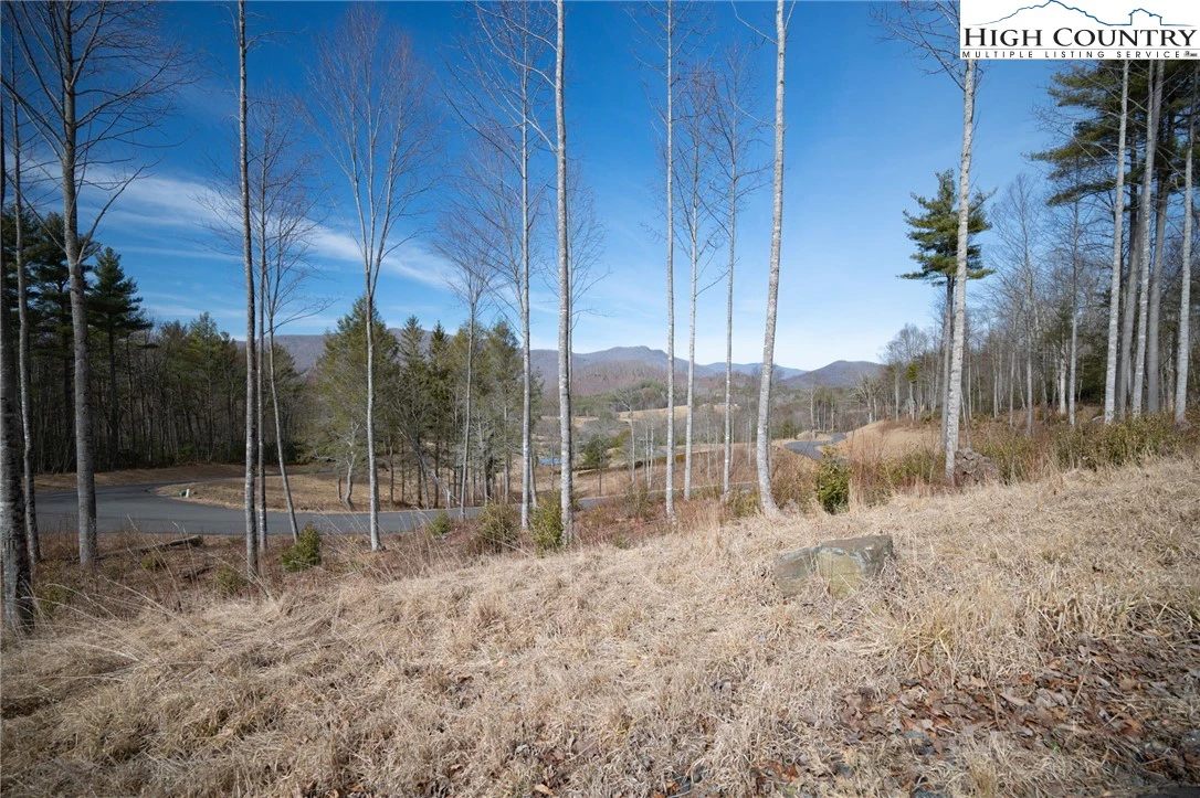 Image number 11 for the current listing
